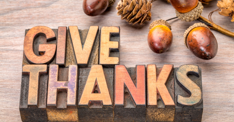 Gratitude in Action: Ways to Give Back This Thanksgiving Season
